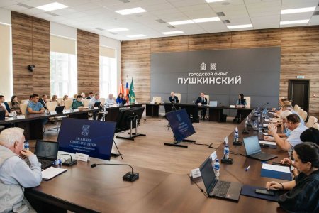 Об участии председателя Контрольно-счетной палаты в заседании Совета депутатов Городского округа Пушкинский