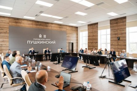 Об участии председателя Контрольно-счетной палаты в заседании Совета депутатов Городского округа Пушкинский